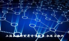 上海区块链发展方案解读
