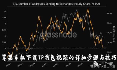 苹果手机下载TP钱包视频的详细步骤与技巧