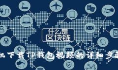 苹果手机下载TP钱包视频的