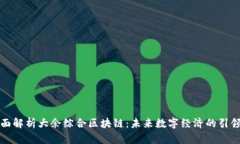 全面解析大余综合区块链